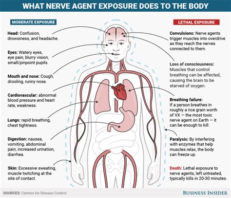 symptoms of vx nerve agent